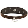 Dogs My Love Genuine Leather Two Buckles Dog Collar 9.5"-12.5" Neck for Small Breeds and Puppies Brown