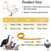 6 Sets Chicken Harness with Matching Leash Adjustable Mesh Chicken Training Harness Breathable Pet Harness for Training and Walking Duck Goose Hen Rooster