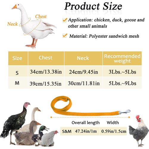 6 Sets Chicken Harness with Matching Leash Adjustable Mesh Chicken Training Harness Breathable Pet Harness for Training and Walking Duck Goose Hen Rooster