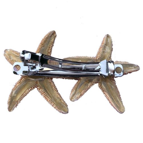 Real Starfish Hair Barrette Clip Double