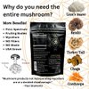 Ohm Mushroom Cacao Powder w. Lions Mane, Chaga, Reishi, Cordyceps, Turkey Tail | Organic Nootropic Instant Coffee Alternative for Energy + Focus + Immunity | 2000mg / Dose