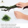 SunGrow Moss Cotton Thread, 20 Meters, Dark Green Color Similar to Willow Moss, Dissolves Eventually, Securely Attaches Floating Plants