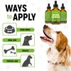 Natural Antibiotics for Dogs - Dog Liquid Antibiotics - Supports Dog Allergy Relief - Dog Itch Relief - Dog Allergy Support - Dog Multivitamin - Pet Antibiotics