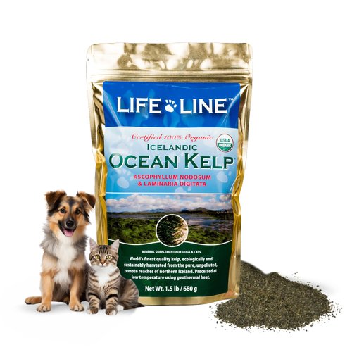 Organic Ocean KELP 1.5 LB