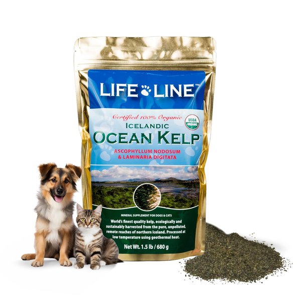 Organic Ocean KELP 1.5 LB