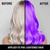 Pure Blends Tempted Purple Semi Permanent Direct Hair Dye Pigment | Stain With Vivid Tones | For Color Treated Hair | Keratin Infused & Cruelty Free | Sulfate, Sodium Chloride, PPD & Paraben Free