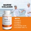 VITASEI Salmoflex Marine Collagen Peptides with Hyaluronic Acid and Vitamin C, D, E - Salmon Collagen Supplement for Bone and Joint - Hair, Skin and Nails Vitamins - 60 Capsules (Pack of 3)