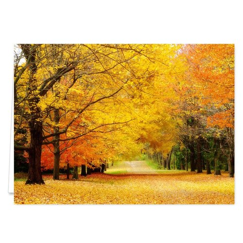 Breathtaking Landscape Note Card Pack / 36 Nature All Occasion Greeting Cards With White Envelopes Set / 6 Colorful Outdoor Scenery Designs / 3 1/2" x 4 7/8" All Occasion Sympathy Cards