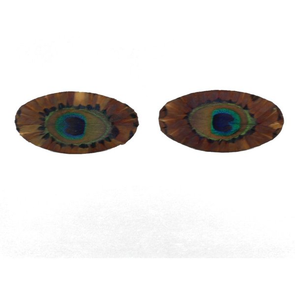 Pair of Hair Clips Made of Peacock Feathers