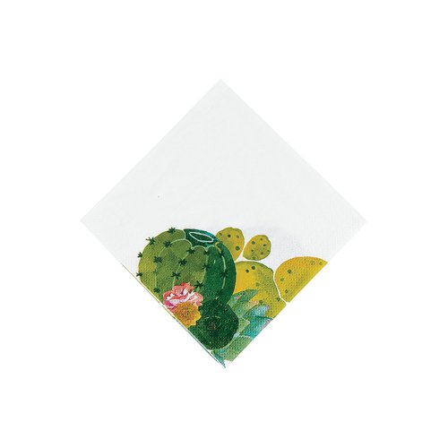 Fun Express - Cactus Party Bev. Napkins (16pc) for Cinco de Mayo - Party Supplies - Print Tableware - Print Napkins - Cinco de Mayo - 16 Pieces