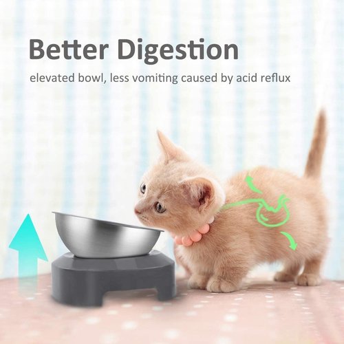 AYADA Raised Cat Food Bowl, Stainless Steel Cat Dish for Food Water Anti Vomiting Elevated with Stand Ergonomic Lifted Slanted Tilted 15 Angle Metal Single Kitty Kitten Wet Food Bowl Pet Bowl (Single)