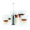Bodum Schiuma Milk Frother, 1 EA, Stainless Steel