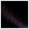 Kiss Express Semi-Permanent Hair Color 100mL (3.5 US fl.oz) (1 Count, Jet Black)