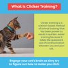 CAT SCHOOL Clicker Training Kit - 1 Cat Training Clicker, 1 Target Stick, 1 Step-by-Step Instruction Booklet - Clicker Tools for Cat Training, Fist Bump Training, Positive Behavior