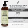 Pharmacopia Verbena Conditioner - Natural Scalp Moisturizer, Vegan & Cruelty-Free Hair Care with Shea Butter, Aloe Vera, Jojoba Oil and Olive Leaf Extract for Dry Hair Treatment and Detangling, 16 oz