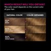 Garnier Hair Color Olia Ammonia-Free Brilliant Color Oil-Rich Permanent Hair Dye, 6.3 Light Golden Brown, 1 Count (Packaging May Vary)