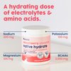 NativePath Native Hydrate, Zero Sugar, Electrolytes Powder with BCAAs, Mixed Berry Hydration Powder, Keto & Paleo Friendly, 30 Servings
