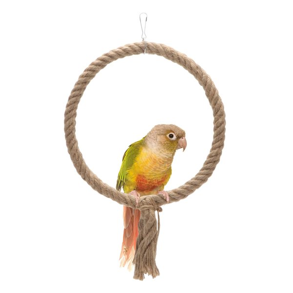 Bird Rope Swing Toy Parrot Climbing Perch Stand for Cockatiel Conure Cockatoo Parakeet Cage Hanging Decor (B: Round)