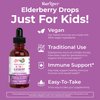 MaryRuth's Cocomelon Kids Elderberry Syrup | USDA Organic Elderberry | Sugar Free Kids Immune Support Supplement for Ages 4-13 Years | Clean Label Project Verified®, Vegan, Gluten Free | 1 Fl Oz