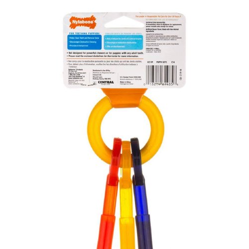 Nylabone Puppy Teething Keys Dog Chew Toy [Set of 2] Size: X-Small