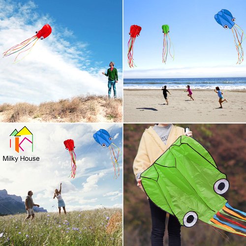 3 Pack Octopus Kite, 3D Kite Long Tail Easy Flyer Kite Beach Kites People Adults Gift 3 Colors (Blue Green Red) Kites for Kids Easy To Fly, Kite Kit with Kite String 100M, Kiteboarding Kite for Adults
