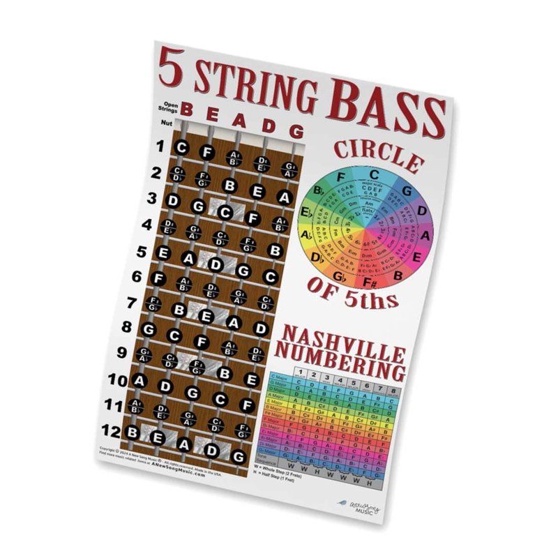 5 String Bass Fretboard Poster - Nashville Numbering System, Circle of ...