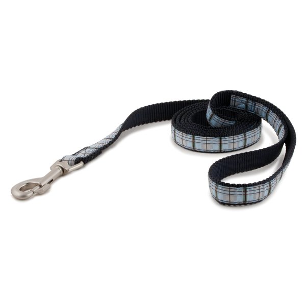 PetSafe Fido Finery Pet Leash, 1/2-Inch by 6-Feet, Summer Plaid
