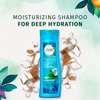 Herbal Essences Hello Hydration Moisturizing Shampoo 10.1 (Pack of 2)