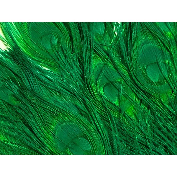 5 Pieces – Kelly Green Bleached & Dyed Peacock Tail Eye Feathers 10-12” Long Halloween Craft Supply | Moonlight Feather