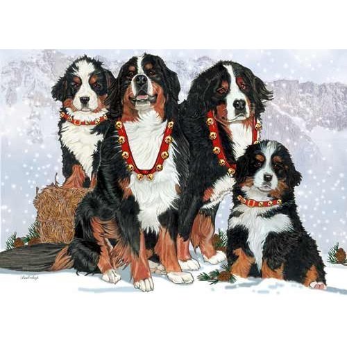 Bernese Mountain Dog Christmas Cards Entire Family : 10 Holiday Cards with Envelopes
