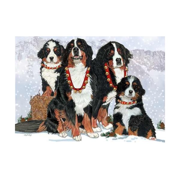 Bernese Mountain Dog Christmas Cards Entire Family : 10 Holiday Cards with Envelopes