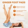 Premium Deep Cleansing Foot Pads, Ginger Foot Pads, Premium Ginger Powder & Bamboo Vinegar Foot Pads for Promoting Sleeping, Relieving Fatigue and Deep Cleaning 20 Packs