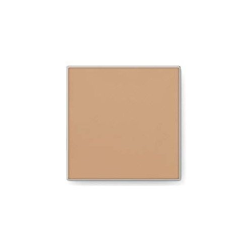 Mary Kay Endless Performance Creme to Powder Foundation~Beige 2