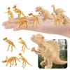 BRETOYIN 20PCS Dinosaur Bone Triceratops Mini Gold Dino for Kids Dinosaur Toy Storage Box Classroom Demonstration Tools Teacher Accessories T-Rex Tyrannosaurus Stegosaurus
