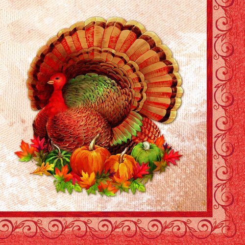 Creative Converting Bountiful Feast Beverage Napkins (16ct)