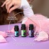 Set Hair Repair Organic Essential Oils | Basil (10ml) + Rosemary (10ml) + Clary Sage (5ml) | 100% Pure and Natural | Undiluted | Therapeutic Grade | Family-Owned Farm | Non-GMO | 3pcs