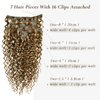 Hyssiet Curly Human Hair Clip in Extensions 7pcs with 16 Clips Healthy Wavy Clip Hair Extensions Real Human Hair 120g18 Inch Dark Brown Highlighted Honey Blonde Soft Thick Curly Hair Extensions