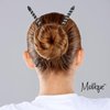 Two Plastic Hair Sticks with Silver Swirl for Women- Black