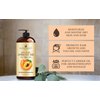 Handcraft Blends Apricot Kernel Oil - 16 Fl Oz - 100% Pure and Natural - Premium Grade Oil for Skin and Hair - Carrier Oil - Hair and Body Oil - Massage Oil - Cold-Pressed and Hexane-Free
