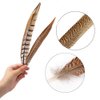 Flying Feathers Natural Pheasant Feathers 4 Style 15-20cm 12pcs Natural Feathers for DIY Craft Home Party Decorations FF03…