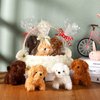 12 Pieces Mini Dog Keychains Puppy Themed Party Favors Plush Stuffed Dogs Mini Dog Party Favors Animal Keychains for Kids Prizes Carnival Christmas Birthday Party Gift, 4.8 Inch(Cute Style)
