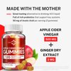 Apple Cider Vinegar Gummies with The Mother - ACV Gummies for Detox, Cleansing & Immune Support - Made with Black Carrot & Ginger Dry Extract - Pectin Based, Non-GMO, Gluten-Free (120 Gummies)