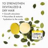 Kariliss Hair Pomade, Intensive Daily Treatment, Enriched with Shea Butter, Growth Stimulator, Nourishing, Hydrating, Strengthening for Dry Hair.