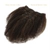 Caliee Kinky Curly Clip in Hair Extensions Real Human Hair for Black Women,Natural Hair Clip in Extensions 3C 4A Curly Clip ins Piano Dark to Brown Color 120g 7Pcs 10 Inch