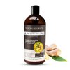 YOUNG SECRET Ginger Herbal Shampoo with 15+ Herbal Ingredients for Thinning Hair and Hair Loss, Protects Hair from Root to Stem,16.9Oz
