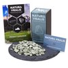 Natura Uralis Cambrian Blue Clay | 200g of Natural Blue Clay, Blue-Grey to Pastel Blue - Amazing Crunch, Satisfying Earthy, Velvety and Firm Texture, ASMR Sensation