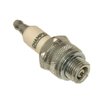 Champion RJ19LM Engine Spark Plug