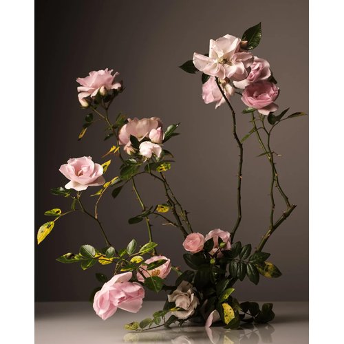 Homecourt Hand Wash - Gently Cleanses and Hydrates 12 Fl Oz Steeped Rose