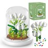 kececo Bouquet Building Kit Toys, 770 Mini Brick Building Sets, dust Cover, Decorative Flowers, Teachers' Day Gift for Girls and Mothers and Girlfriends, White Jasmine Building Sets