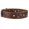 Dogs My Love Genuine Leather Dog Collar Studded 1.5" Wide, 16.5"-20" Neck (Brown)